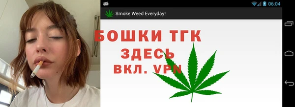 мдпв Ладушкин