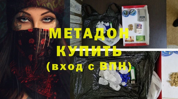стаф Корсаков