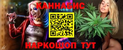 мяу мяу мука Кингисепп