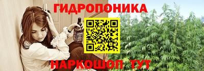 мяу мяу мука Кингисепп