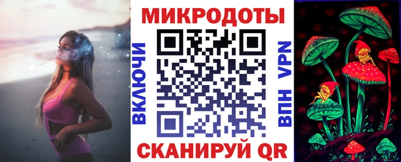 Галлюциногенные грибы Psilocybe  Малгобек 