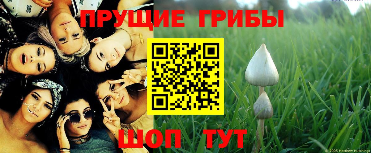 Псилоцибиновые грибы Magic Shrooms  Галлюциногенные грибы MAGIC MUSHROOMS  Малгобек  Вход с VPN 