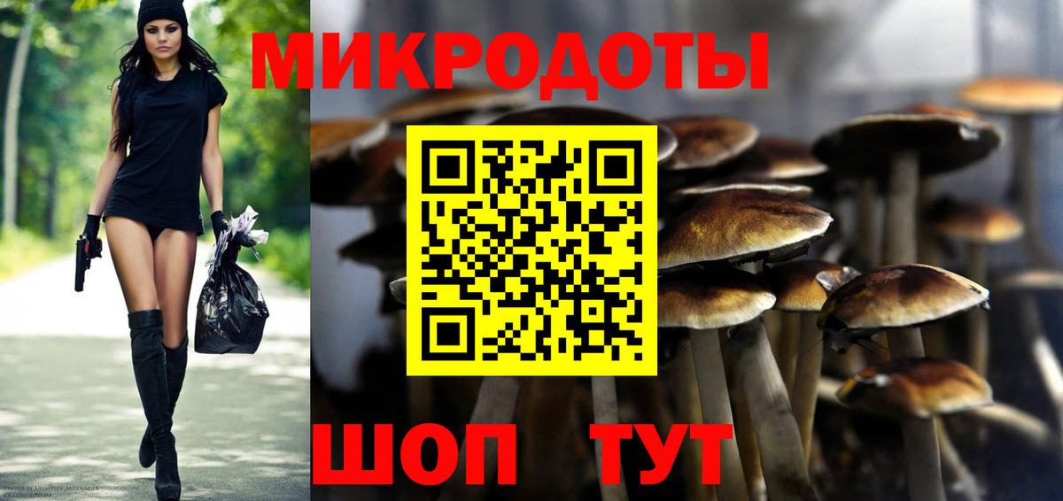 Галлюциногенные грибы GOLDEN TEACHER Малгобек